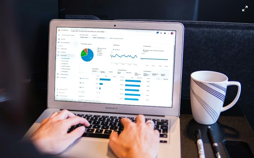 Website audited statistics chart